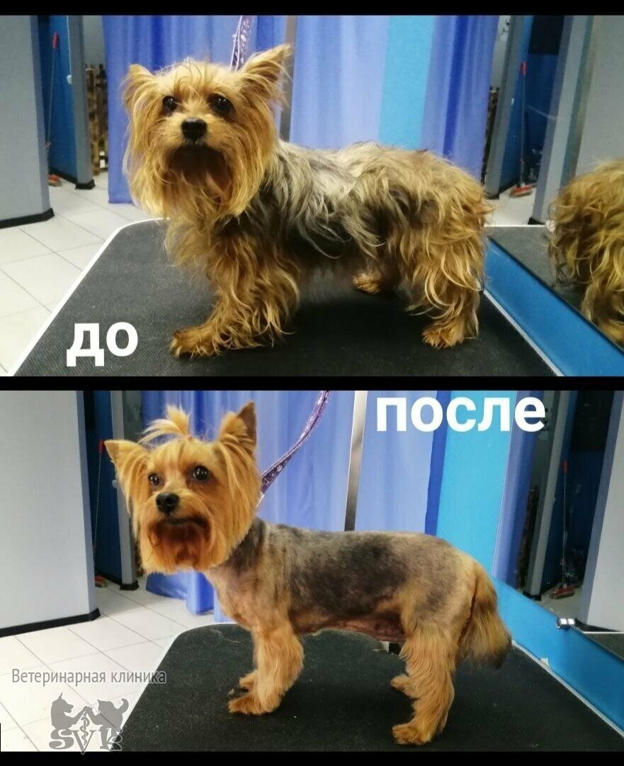 Работа-2