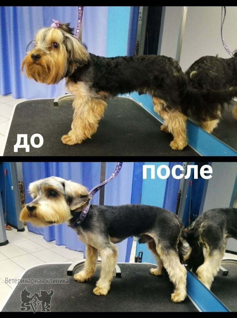 Работа-1